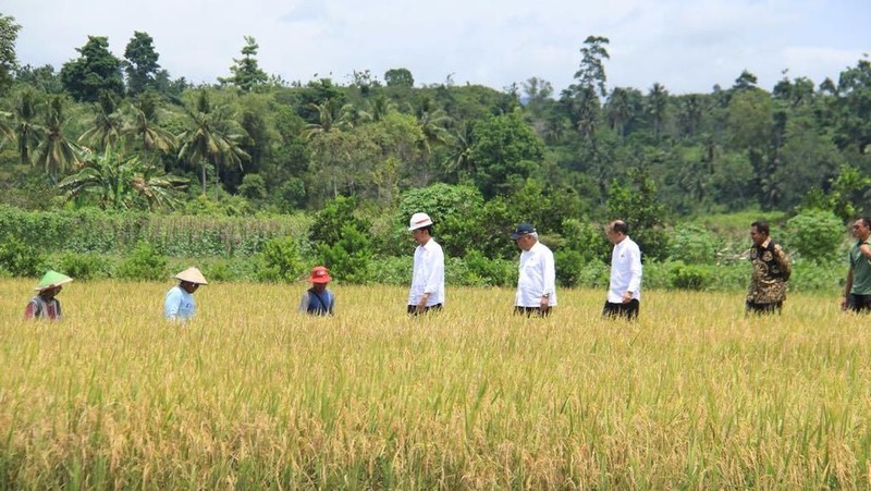 Presiden Tinjau Program Padat Karya Tunai di Seram Bagian Barat.