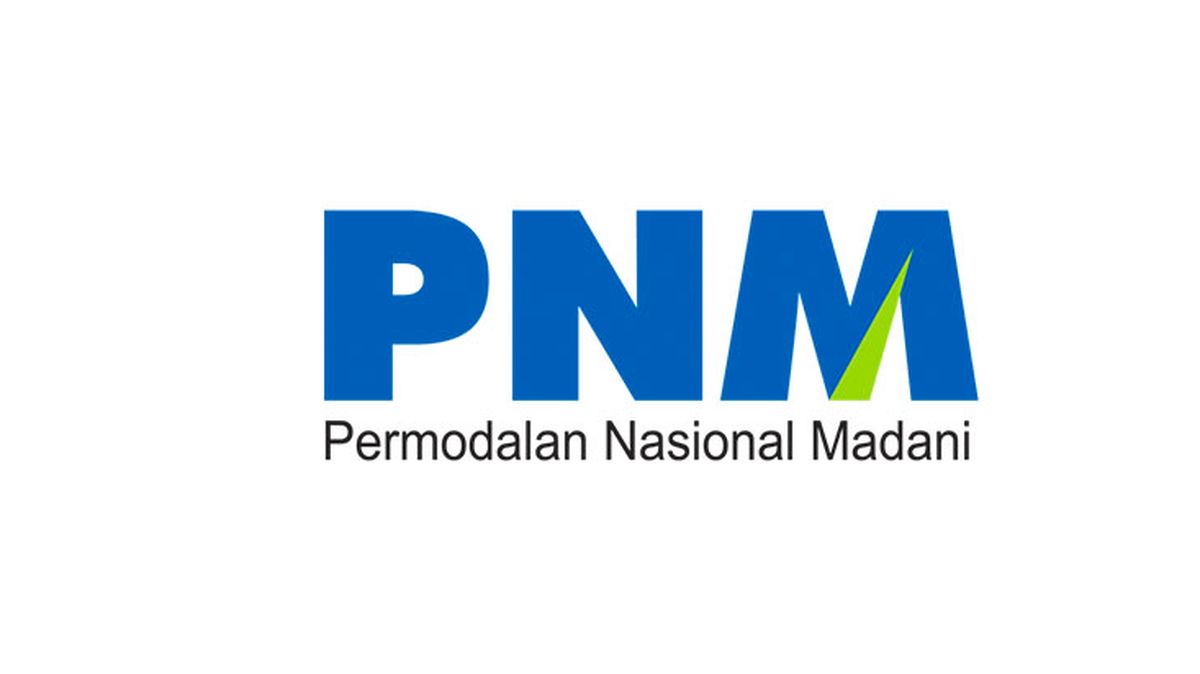 PNM Logo