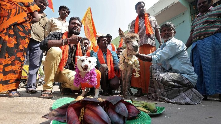 Orang-orang berpose setelah mengadakan pesta pernikahan seekor anjing dan seekor keledai untuk memprotes Hari Valentine di Chennai, India, 14 Februari 2018. REUTERS / P.Ravikumar