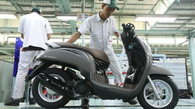 Honda Scoopy Cuma Ganti Warna
