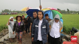 Jokowi Terjang Hujan Deras Tinjau Program Padat Karya