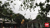 Bermarkas di Wihara Metta Dharma, persaudaraan Tiong Gie Say mulai merintis sejarah hingga berprestasi dalam kesenian barongsai. Berada di samping kompleks Wihara Dharma Bhakti yang diperkirakan berusia lebih dari 200 tahun, membuat pendatang sedikit sulit mencari tempat latihan Tiong Gie Say. (CNNIndonesia/Adhi Wicaksono)
