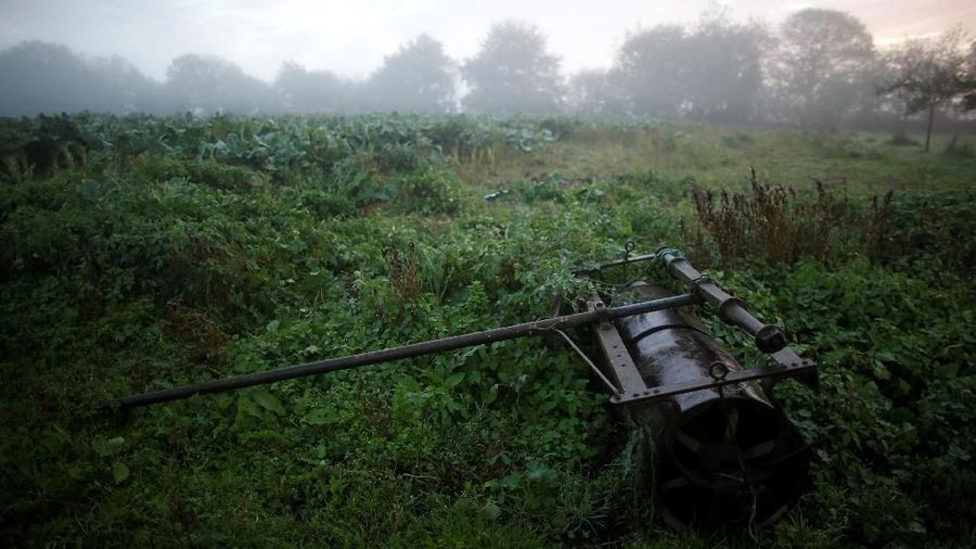Bernard Huon Petani asal prancis melestarikan cara hidup leluhur petani dengan menggunakan kerbau untuk membajak ladangnya.