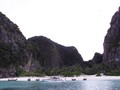 Turis Menghilang, Hiu Karang Kembali Mendatangi Maya Bay