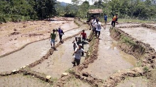 Longsor Brebes, 5 Warga Tewas, 18 Hilang