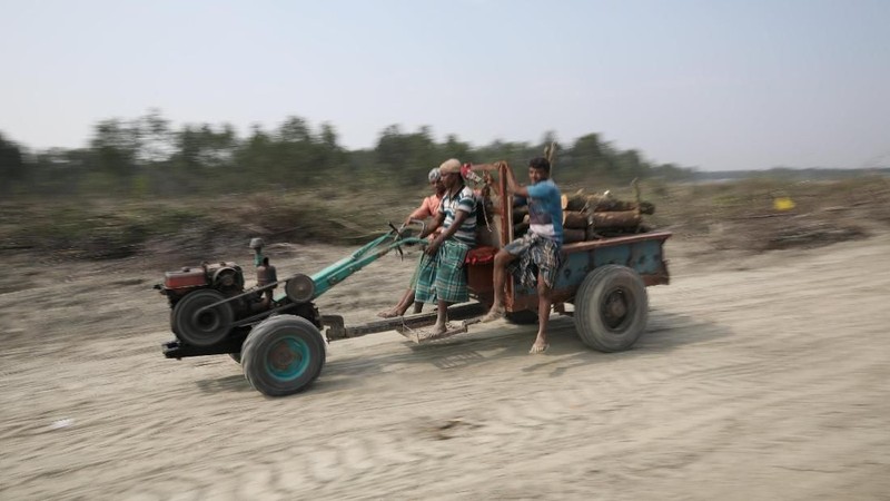 Pulau Bay of Bengal, yang juga dikenal dengan sebutan Thenger Char, muncul dari lumpur di lepas pantai delta Bangladesh sekitar 11 tahun yang lalu.
