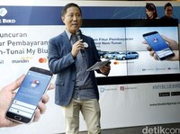 Sumitomo Masuk, Bagaimana Fundamental Blue Bird?
