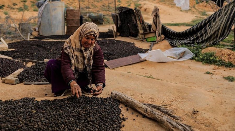 Di lembah gersang di wilayah Djebel Dahar Tunisia Selatan terdapat sejumlah keluarga yang tinggal berabad-abad di rumah bawah tanah
