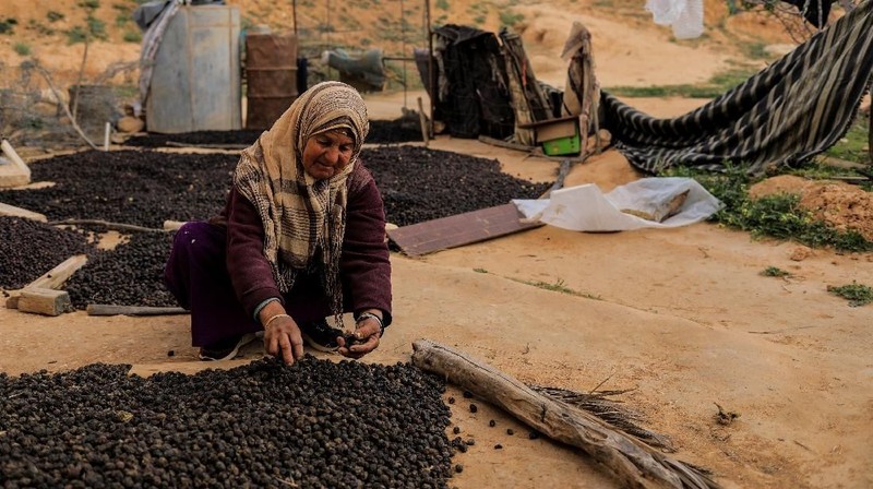 Di lembah gersang di wilayah Djebel Dahar Tunisia Selatan terdapat sejumlah keluarga yang tinggal berabad-abad di rumah bawah tanah
