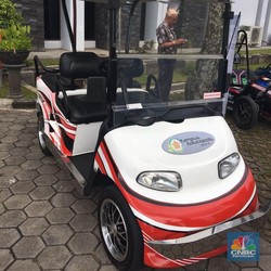Luhut Jamin Subsidi Mobil Listrik Rilis, Harga Jadi Berapa?