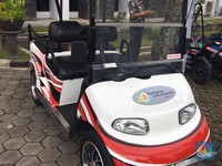 Luhut Jamin Subsidi Mobil Listrik Rilis, Harga Jadi Berapa?