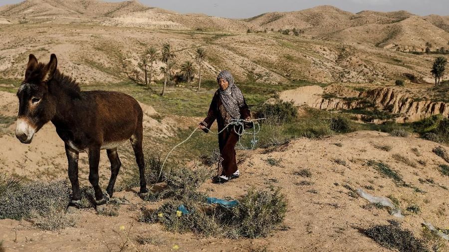 Di lembah gersang di wilayah Djebel Dahar Tunisia Selatan terdapat sejumlah keluarga yang tinggal berabad-abad di rumah bawah tanah