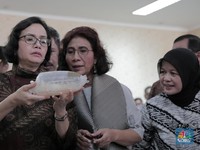 Top! Pemerintah Gagalkan Penyelundupan Bibit Lobster Rp 37 M