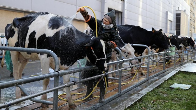 Paris International Agricultural Show merupakan ajang pertemuan tahunan bagi dunia peternakan dan pertanian.