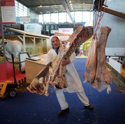 Daging Sapi Impor dari Brasil dijual Rp 80.000/Kg