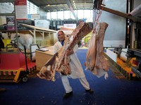 RI Butuh Cepat Sapi Brasil, Pengiriman Bisa Pakai Pesawat