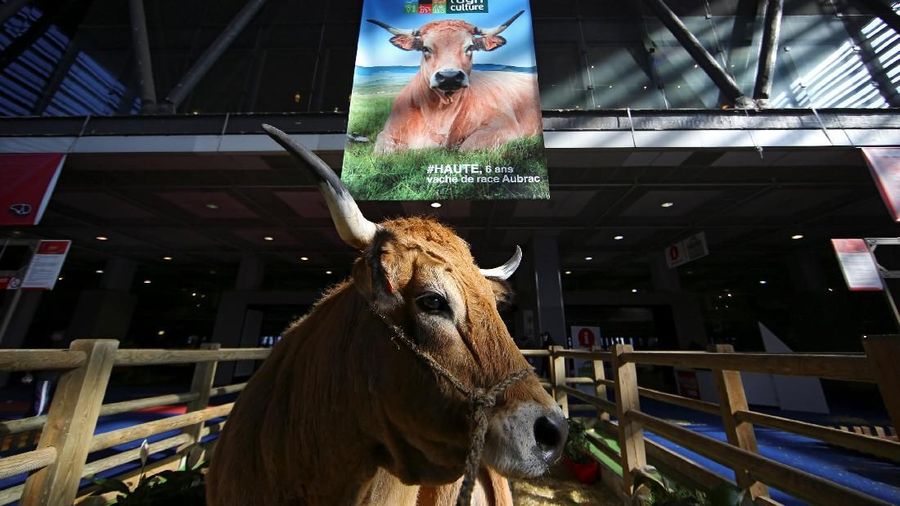 Paris International Agricultural Show merupakan ajang pertemuan tahunan bagi dunia peternakan dan pertanian.