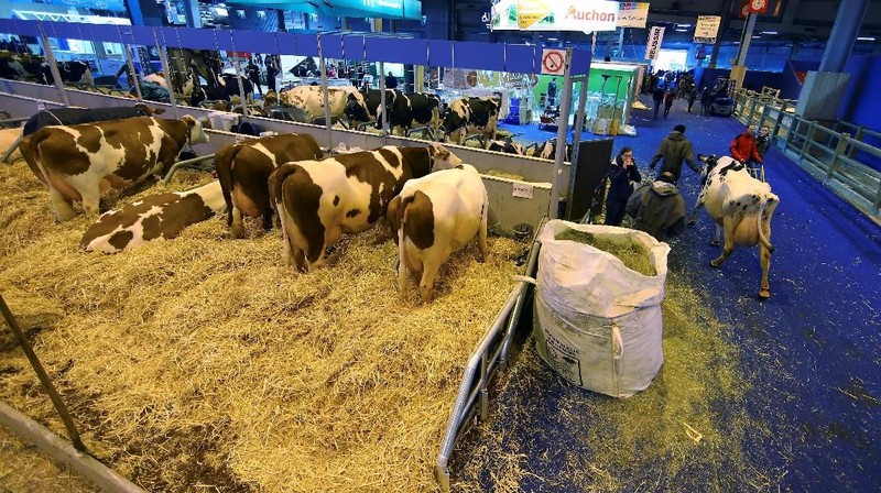 Paris International Agricultural Show merupakan ajang pertemuan tahunan bagi dunia peternakan dan pertanian.