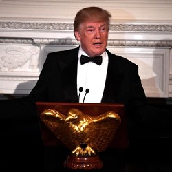 Mantan CFO Microsoft Jadi Kandidat Penasihat Ekonomi Trump