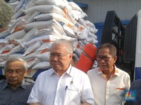Terungkap, Ini Penyebab Harga Beras Tak Kunjung Turun
