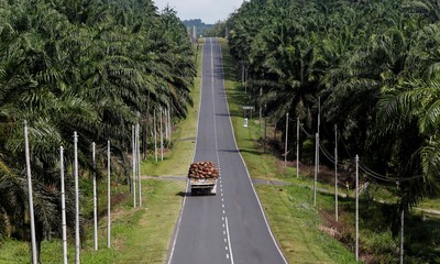 FILE PHOTO: A truck carrying oil palm fruits passes through Felda Sahabat plantation in Lahad Datu in Malaysia's state of Sabah on Borneo island, February 20, 2013. REUTERS/Bazuki Muhammad/File Photo