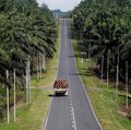 Naik Tipis, Astra Agro Lestari (AALI) Cetak Laba Rp1,15 T
