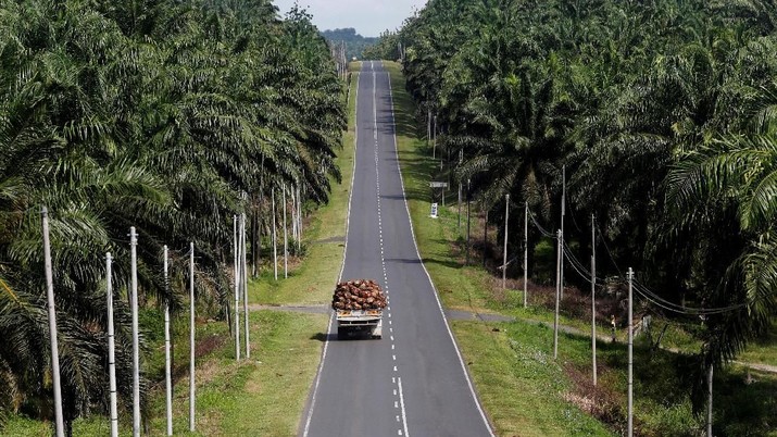 Kalau RI Gak Punya Bursa CPO, Malaysia & Belanda Cuan Besar!