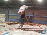 Darmin: Beras 240.000 Ton Masuk Maret dari Thailand & Vietnam
