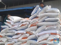 Harga Beras Tak Kunjung Turun, Pemerintah Percepat Rastra