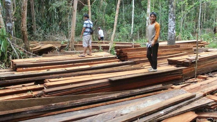 Pemerintah berencana membebaskan biaya pembuatan SVLK bagi UMKM.