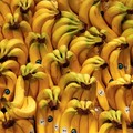 Ini Daftar Buah Paling Dicari Dunia: Ternyata Berlimpah di RI