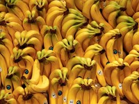 Jenis Pisang Terbaik dan Terburuk Dikonsumsi untuk Diet