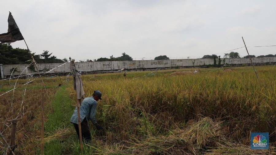Upah riil buruh tani nasional pada Maret 2019 mengalami penurunan sebesar 0,16%.