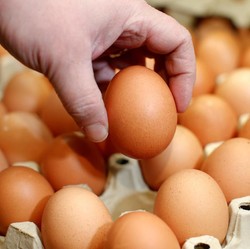 Doyan Makan Telur Bikin Kolesterol Tinggi, Mitos atau Fakta?