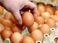 Doyan Makan Telur Bikin Kolesterol Tinggi, Mitos atau Fakta?