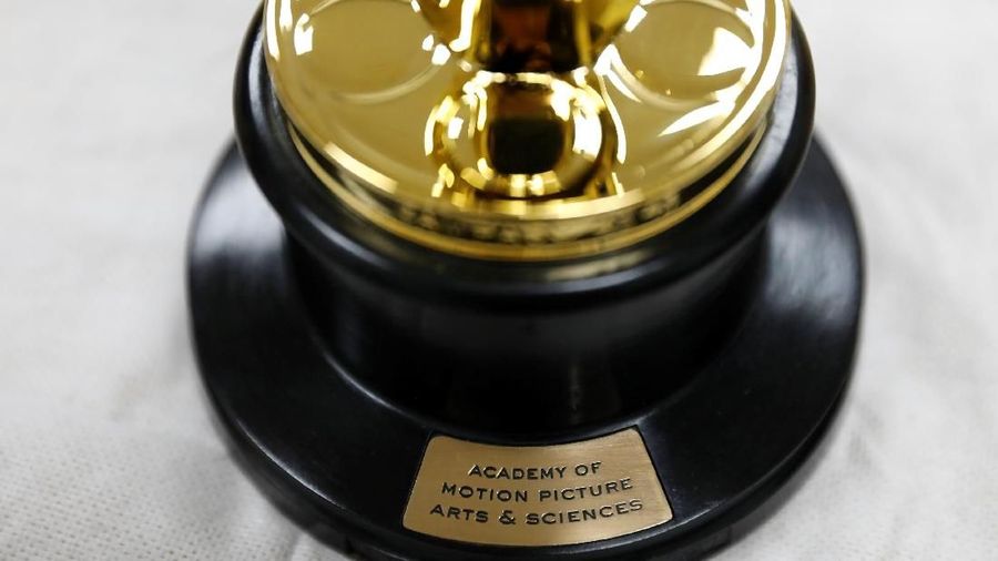 Piala ini dipersiapkan untuk perhelatan Academy Awards ke-90 pada 4 Maret 2017 mendatang.