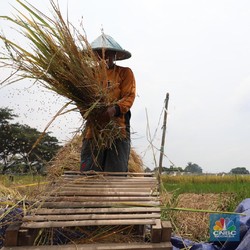 Pangan & Regenerasi Petani Jadi Tantangan Tak Berujung