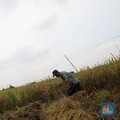Data Luas Sawah Dikoreksi, Bertambah dari 7,1 Juta Ha