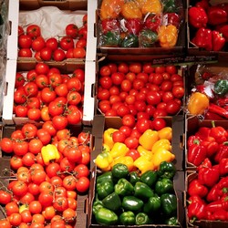 Musim Hujan Waspada Flu, 8 Makanan Ini Bisa Cegah Flu Lho