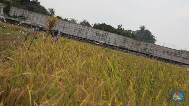 Cegah 'Kiamat' Sawah, Zulhas dan Nusron Warning Keras Pemda Ini