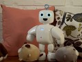 VIDEO: piBo Robot Mini yang Bisa Kenali Orang Berbeda