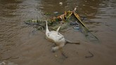 Seekor bangkai kambing terapung di antara sampah dan puing-puing di hilir sungai Citarum yang bermuara ke Laut Jawa di Kabupaten Bekasi, 22 Februari 2018. (REUTERS/Darren Whiteside)