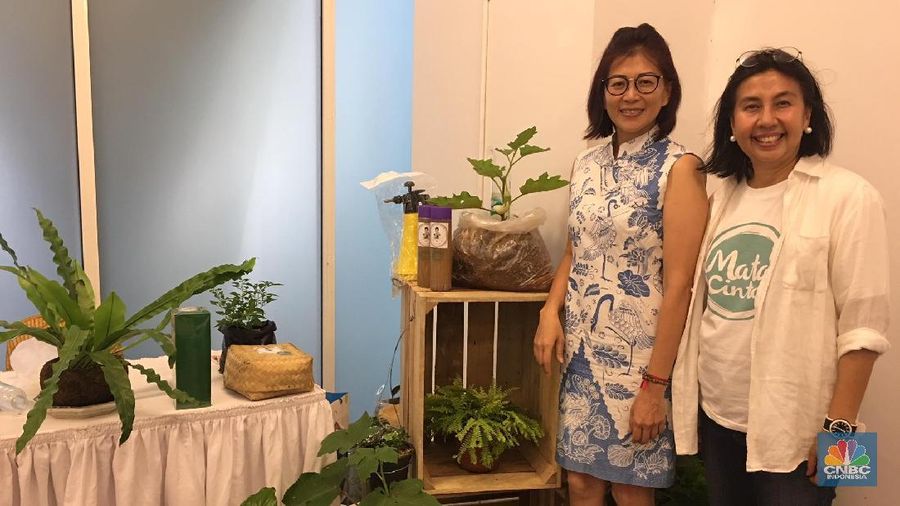 Urban farming kian diminati masyarakat modern. Menanam pohon dengan memanfaatkan lahan pekarangan sempit ini juga jadi peluang bisnis.