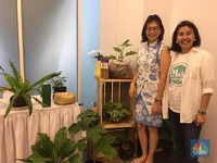 Cara Memulai Urban Farming, Bisnis Berkebun Kekinian