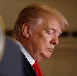 Pengusaha RI, Sudah Ada Cara Bisnis Dunia 'Ngakali' Tarif Dagang Trump
