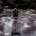 Citarum Sungai Terkotor Dunia, Jakarta Harus Punya Waduk Baru