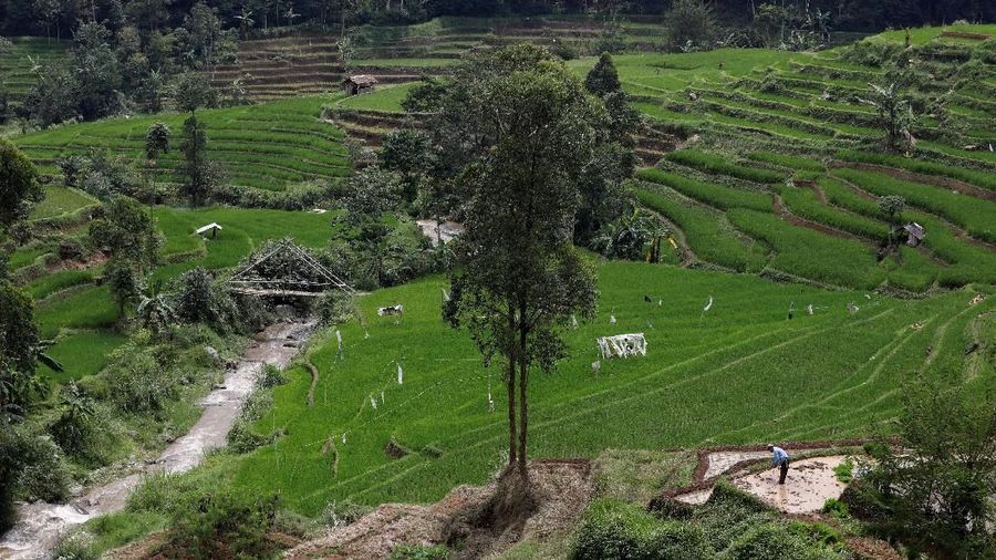 Indonesia bertujuan untuk membuang limbah beracun dari sungai