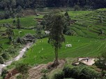25 Tempat Wisata di Bogor & Sekitarnya, Cocok untuk Liburan!