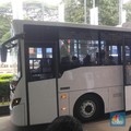 Wahai Warga Bogor, Siap-Siap Subsidi Bus Bakal Dicabut!