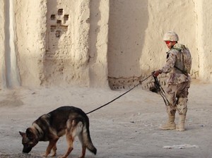 Israel Akui Telantarkan Pria Down Syndrome yang Tewas Diserang Anjing Militer